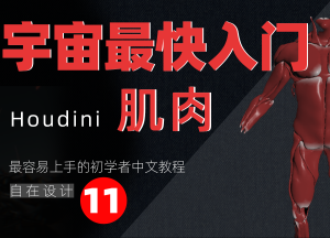 《Houdini肌肉篇全解析》—— 宇宙最快入门系列⑪-houdini666