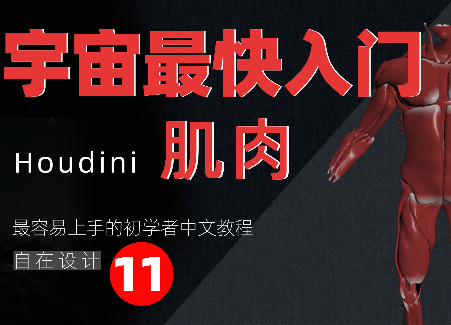 《Houdini肌肉篇全解析》—— 宇宙最快入门系列⑪