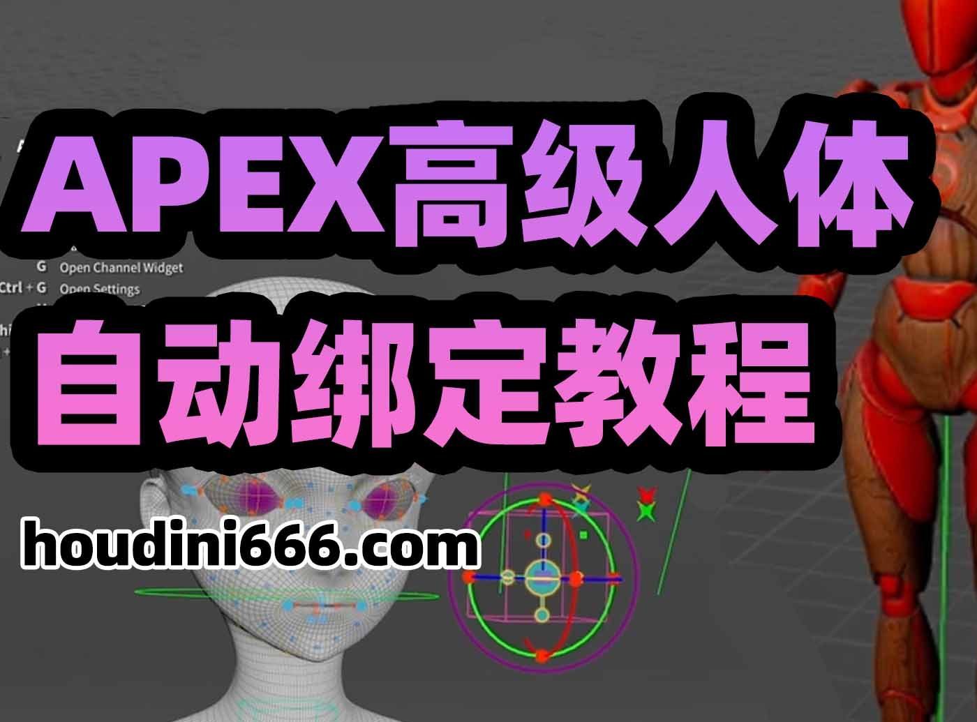 《Houdini APEX高级人体自动绑定教程》