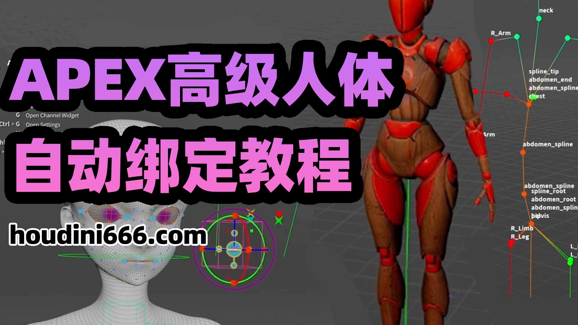 图片[1]-《Houdini APEX高级人体自动绑定教程》