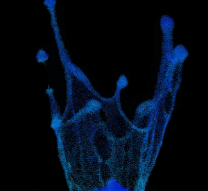 houdiniFlip水冠-houdini666