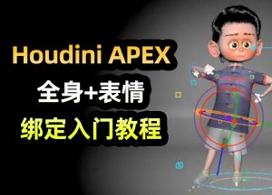 《Houdini APEX全身+表情绑定入门教程》——合作课程-houdini666