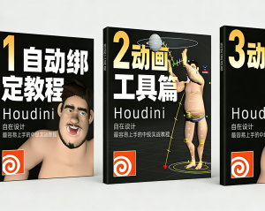 合集《houdini角色动画三部曲》绑定+功能+表演-houdini666